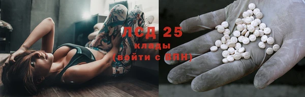 PSILOCYBIN Осташков