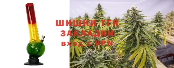 гашик Новокубанск