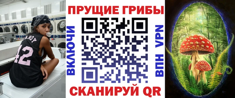 купить наркоту  Новокубанск  Псилоцибиновые грибы Psilocybine cubensis 