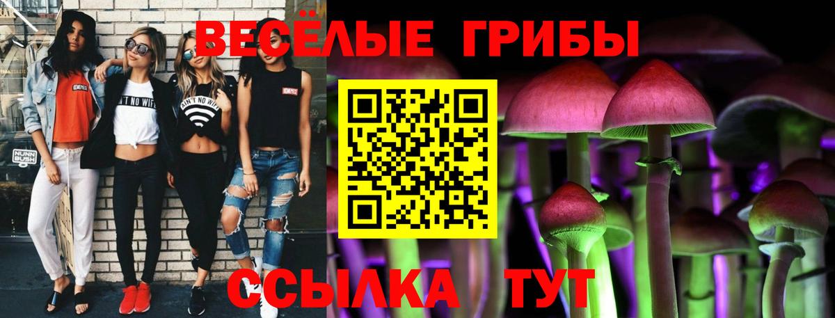 Галлюциногенные грибы GOLDEN TEACHER  Вход с VPN  Новокубанск 